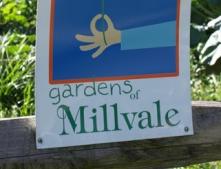 Banner Gardensofmillvale