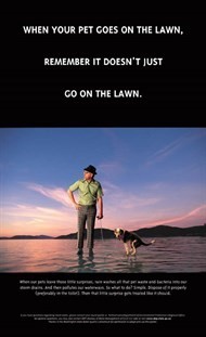 Photo of Man with dog on leash