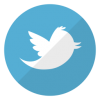 Twitter logo - silhouette of bird