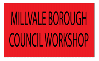 Borough Council Workshop