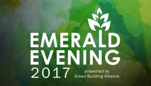 2017 Emerald Evening Gala image